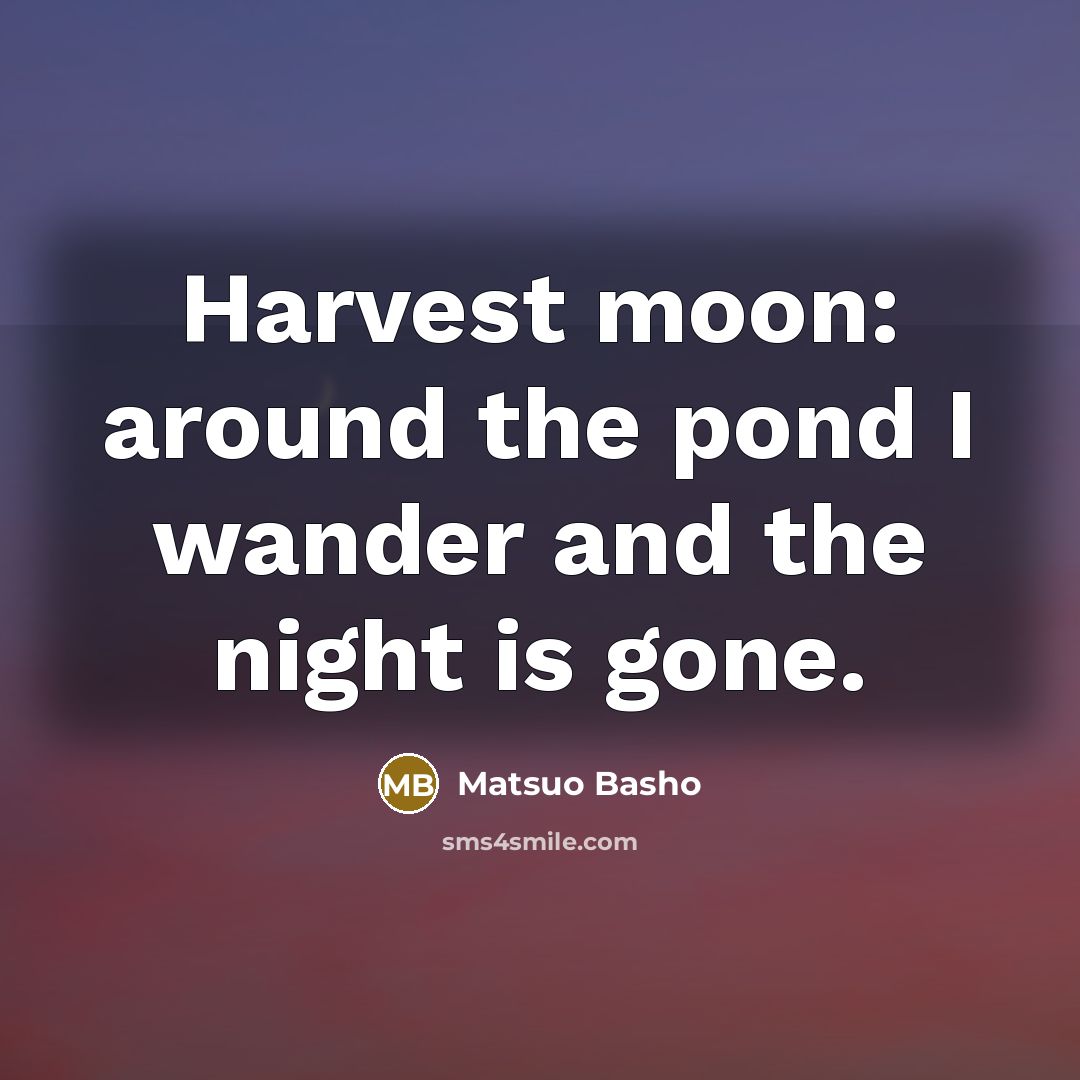 “Harvest moon: around the pond I wander and the night is gone.” quote by Matsuo Basho