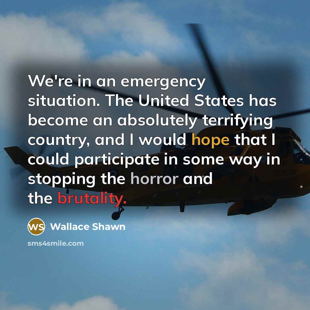 “We're in an emergency situation. The United States has become an absolutely terrifying country, and I would hope that I could participate in some way in stopping the horror and the brutality.” quote by Wallace Shawn