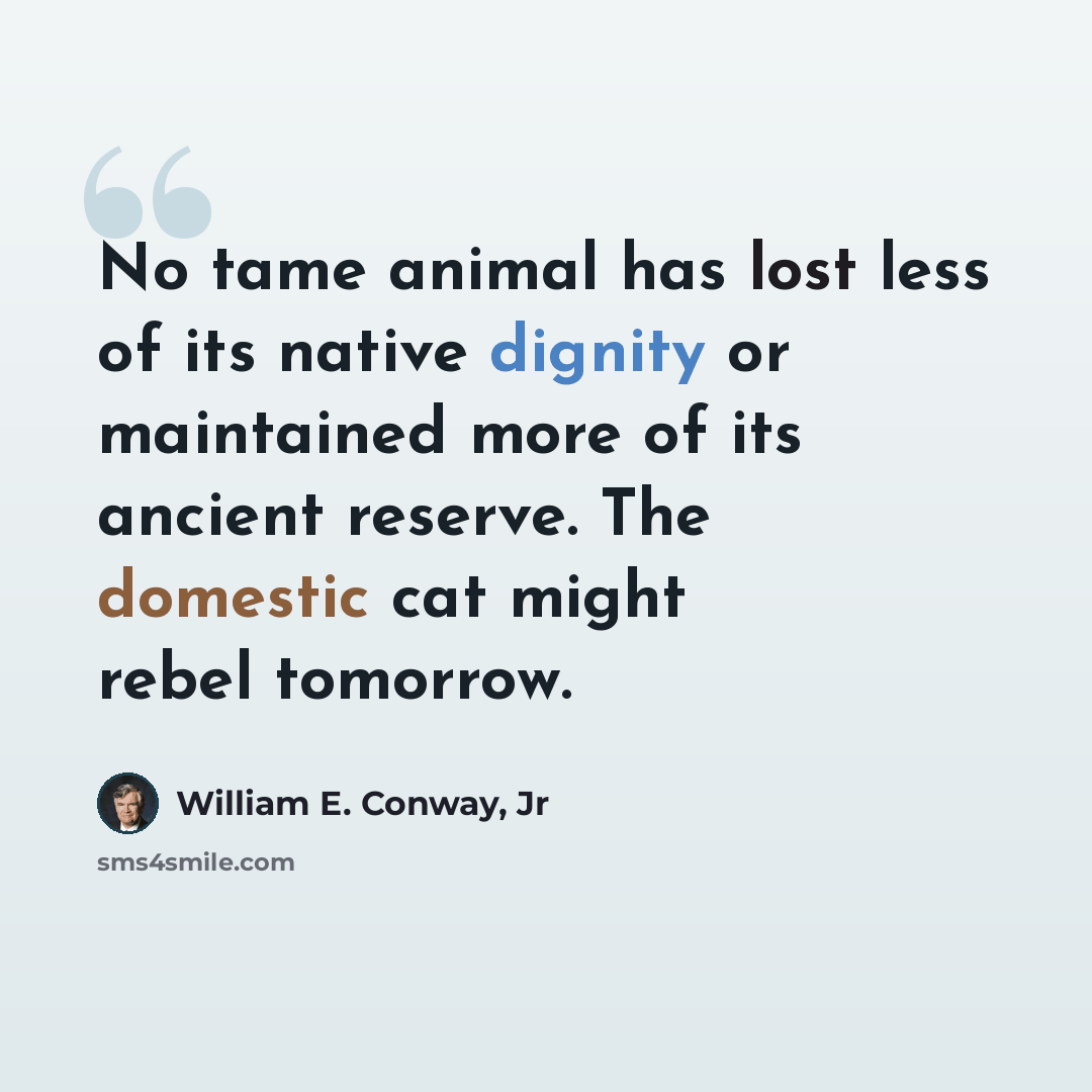 “No tame animal has lost less of its native dignity or maintained more of its ancient reserve. The domestic cat might rebel tomorrow.” quote by William E. Conway, Jr