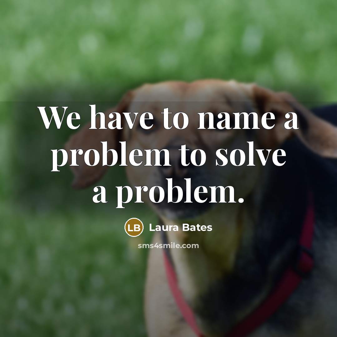 “We have to name a problem to solve a problem.” quote by Laura Bates