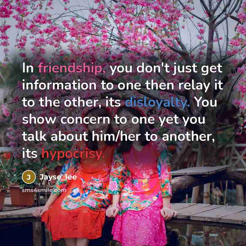 “In friendship, you don't just get information to one then relay it to the other, its disloyalty. You show concern to one yet you talk about him/her to another, its hypocrisy.” quote by Jayse_lee