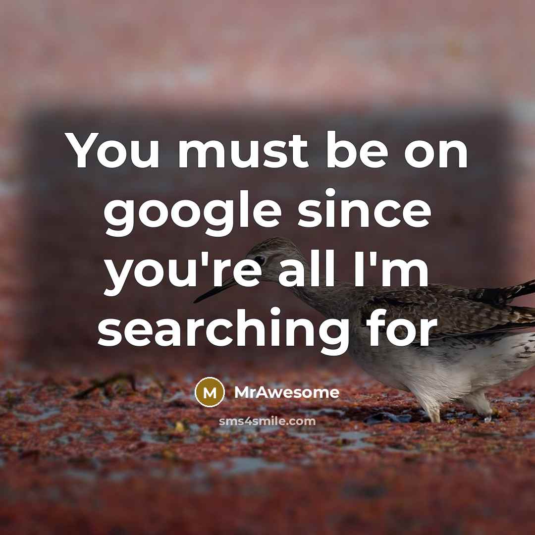 “You must be on google since you're all I'm searching for” quote by MrAwesome