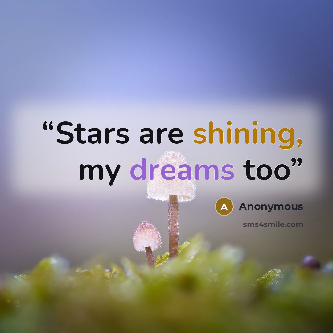 “Stars are shining, my dreams too” quote by Anonymous