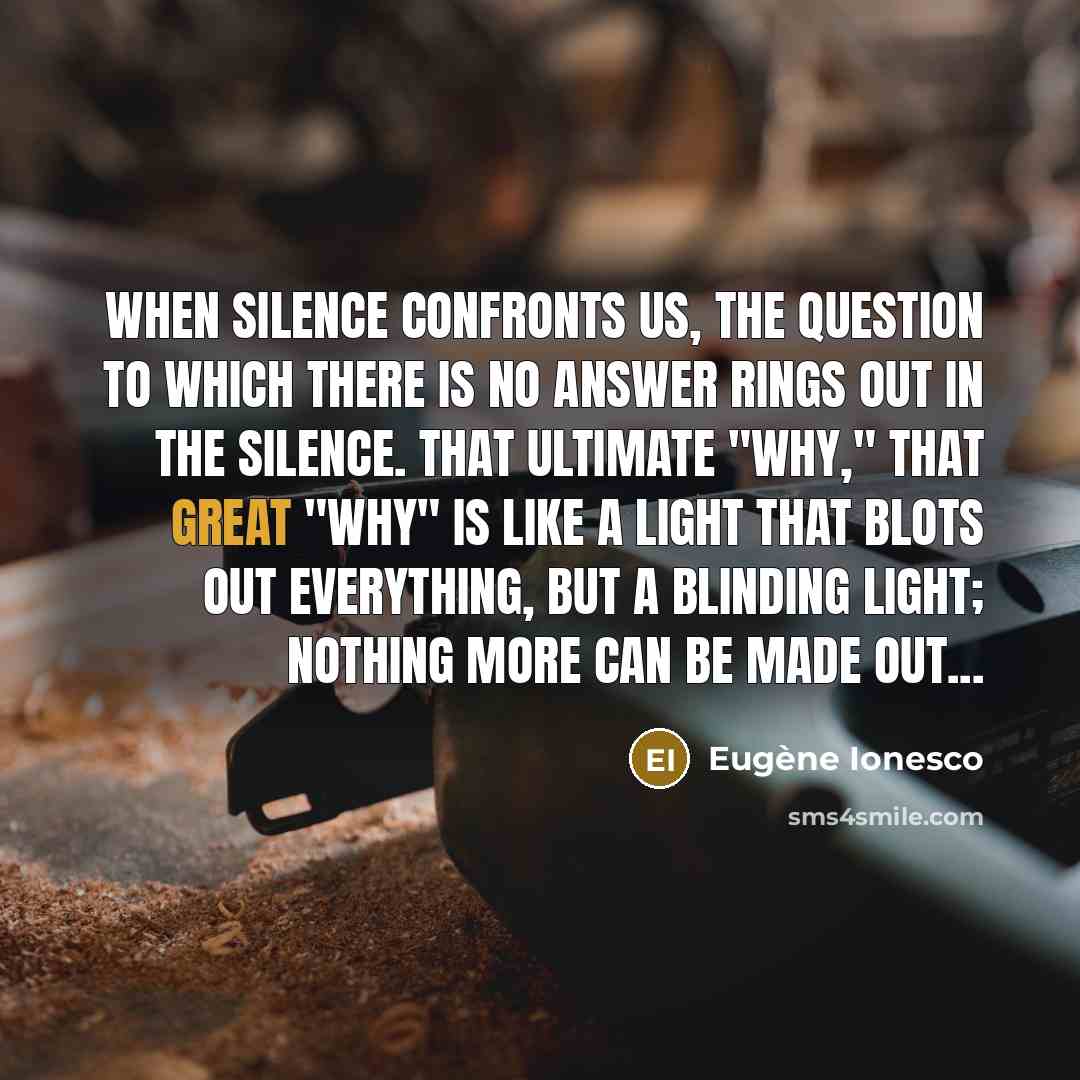 “When silence confronts us, the question to which there is no answer rings out in the silence. That ultimate "why," that great "why" is like a light that blots out everything, but a blinding light; nothing more can be made out...” quote by Eugene Ionesco