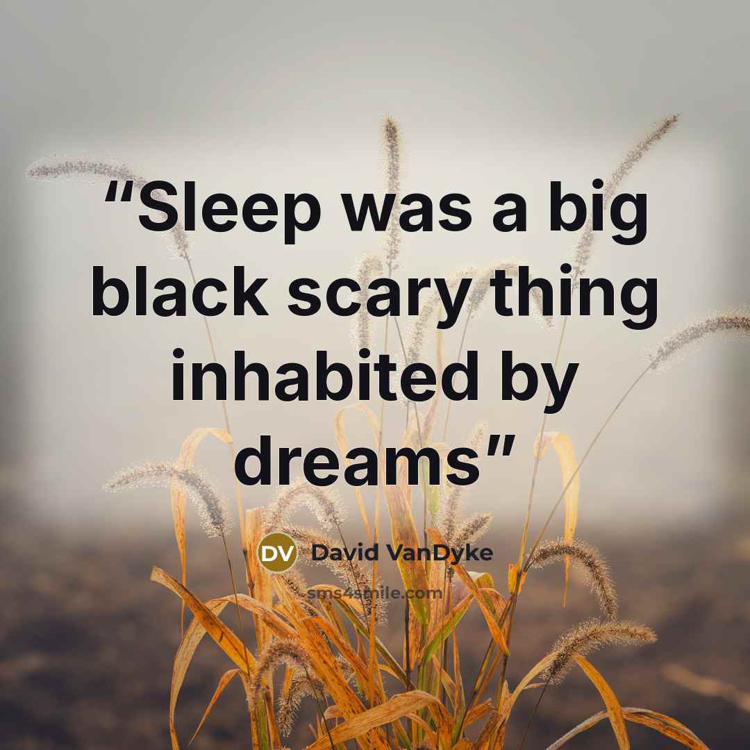 “Sleep was a big black scary thing inhabited by dreams” quote by David VanDyke