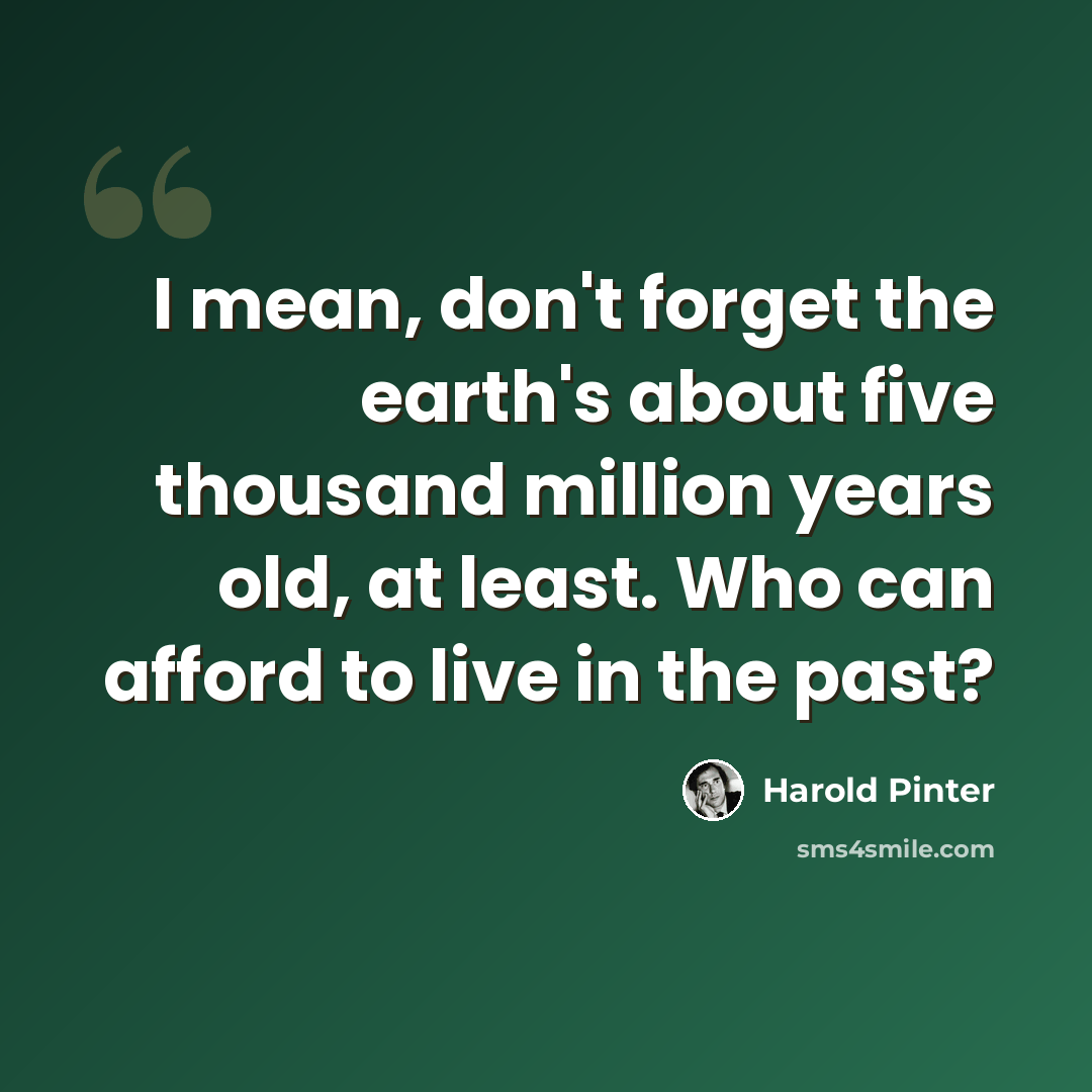 “I mean, don't forget the earth's about five thousand million years old, at least. Who can afford to live in the past?” quote by Harold Pinter