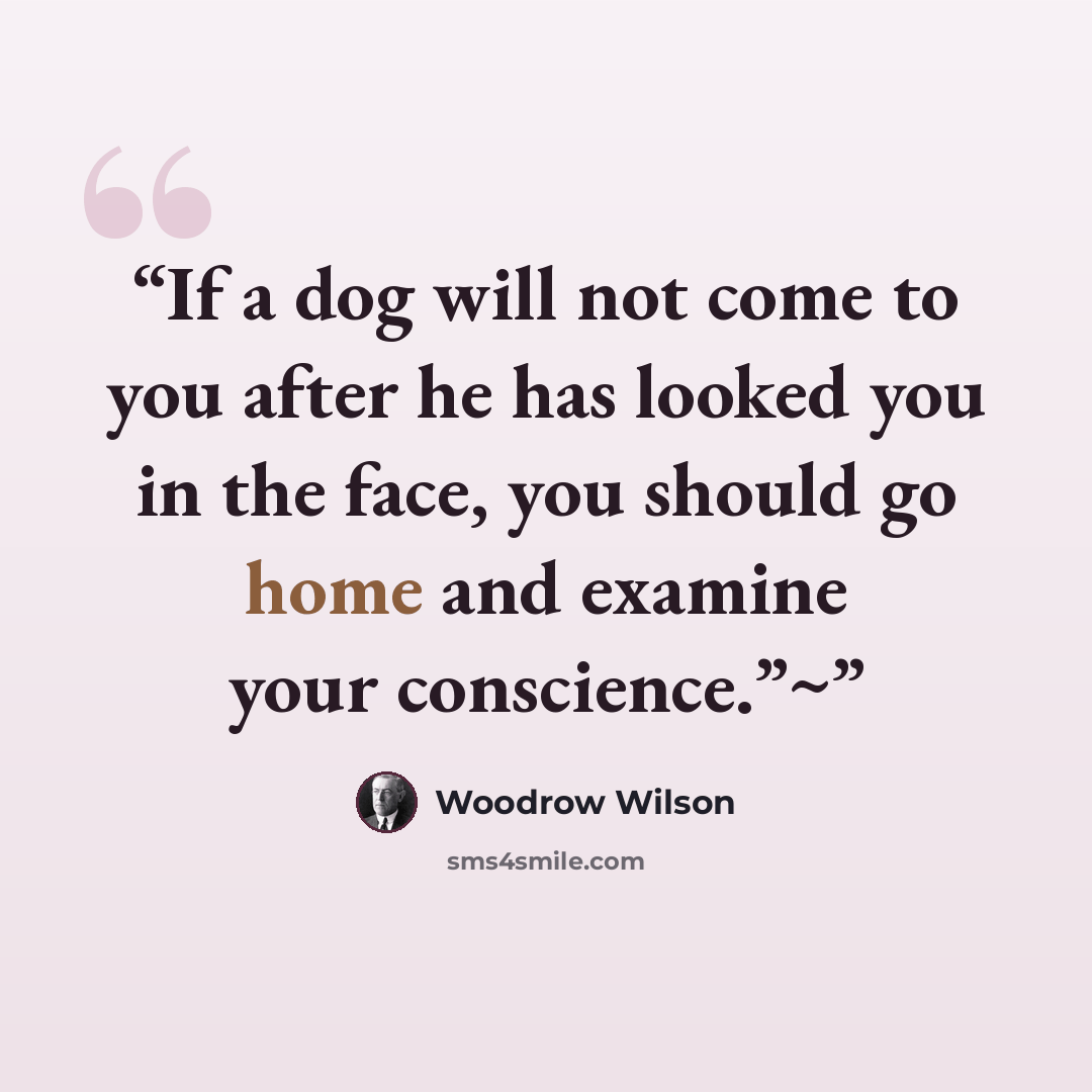 “If a dog will not come to you after he has looked you in the face, you should go home and examine your conscience.”~” quote by Woodrow Wilson