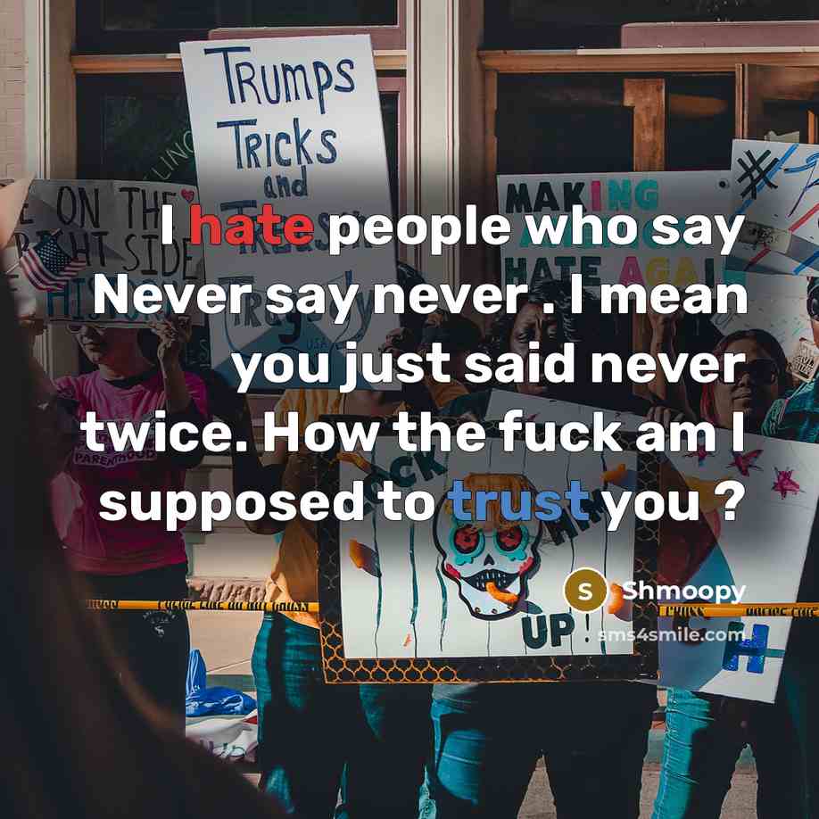 “I hate people who say Never say never . I mean you just said never twice. How the fuck am I supposed to trust you ?” quote by Shmoopy