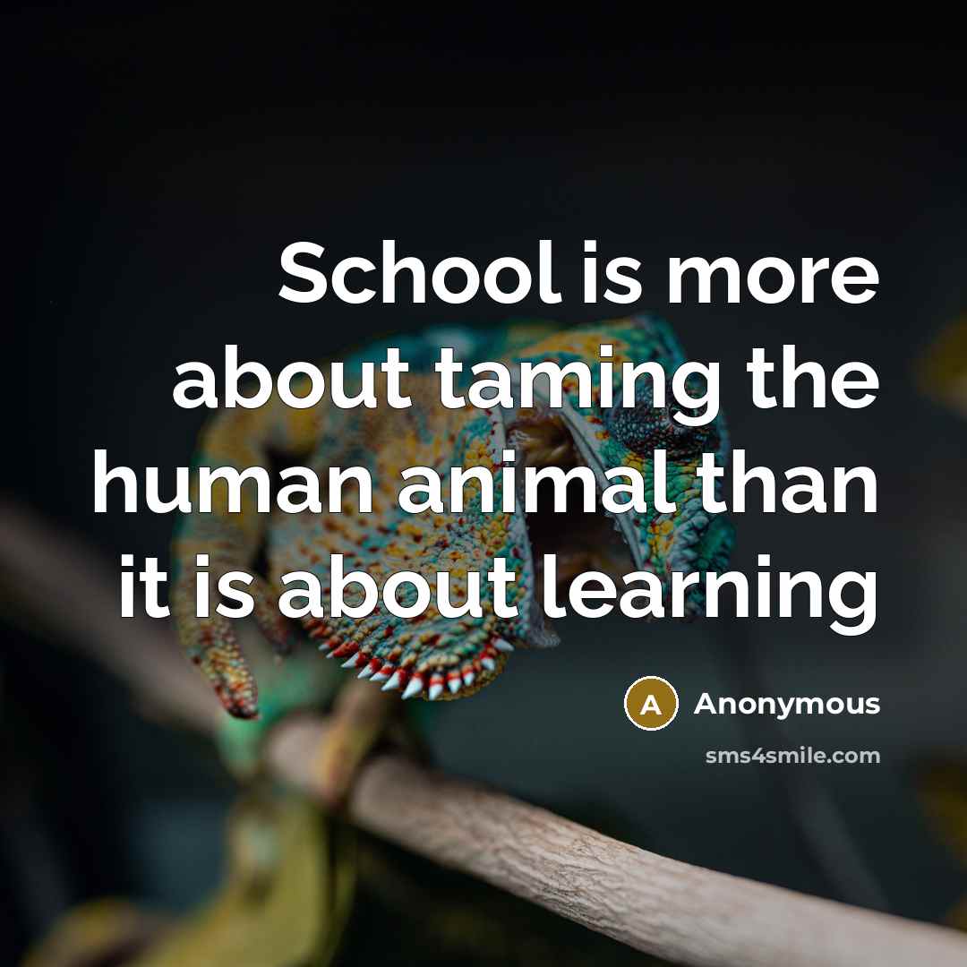 “School is more about taming the human animal than it is about learning” quote by Anonymous