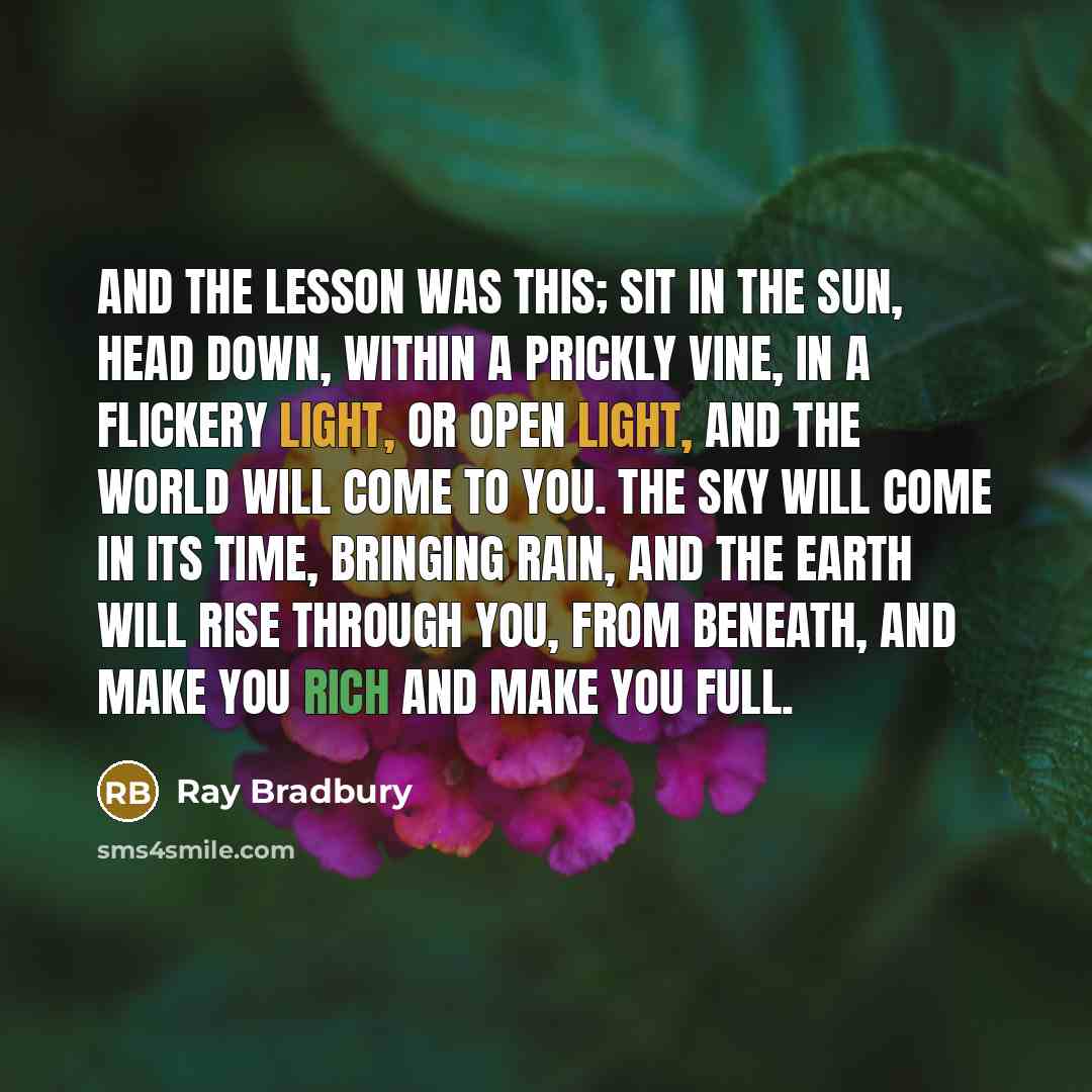 “And the lesson was this; sit in the sun, head down, within a prickly vine, in a flickery light, or open light, and the world will come to you. The sky will come in its time, bringing rain, and the earth will rise through you, from beneath, and make you rich and make you full.” quote by Ray Bradbury