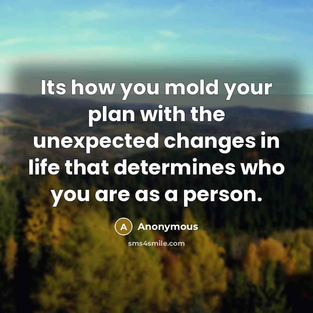“Its how you mold your plan with the unexpected changes in life that determines who you are as a person.” quote by Anonymous