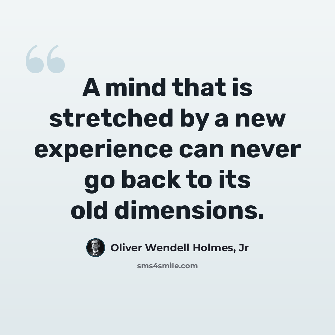 “A mind that is stretched by a new experience can never go back to its old dimensions.” quote by Oliver Wendell Holmes, Jr
