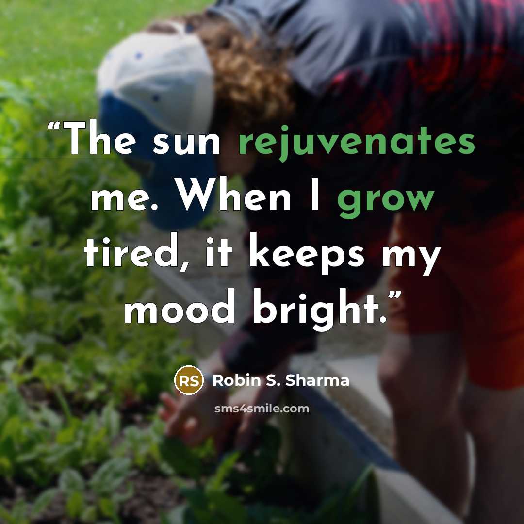 “The sun rejuvenates me. When I grow tired, it keeps my mood bright.” quote by Robin S. Sharma