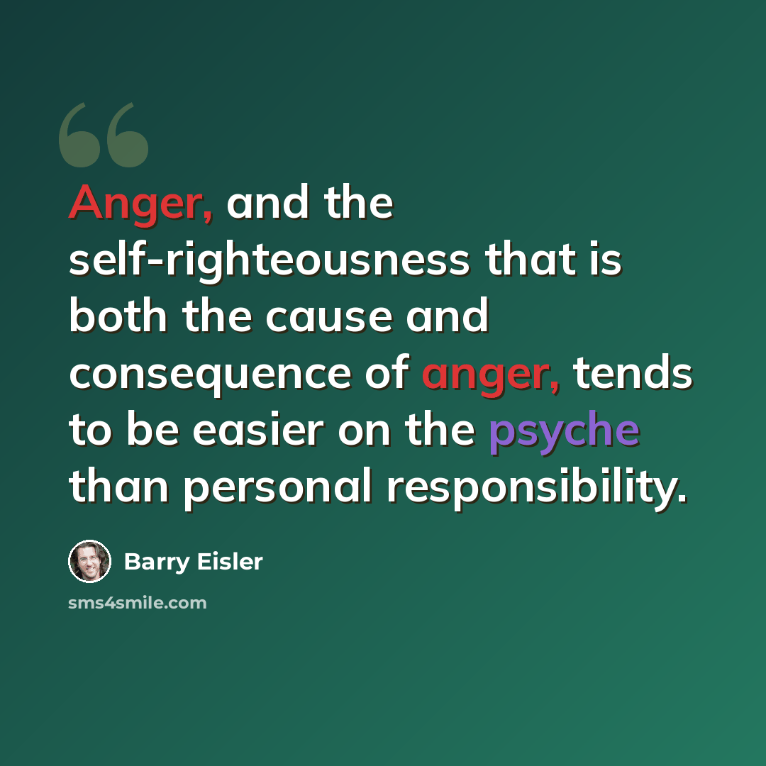 “Anger, and the self-righteousness that is both the cause and consequence of anger, tends to be easier on the psyche than personal responsibility.” quote by Barry Eisler