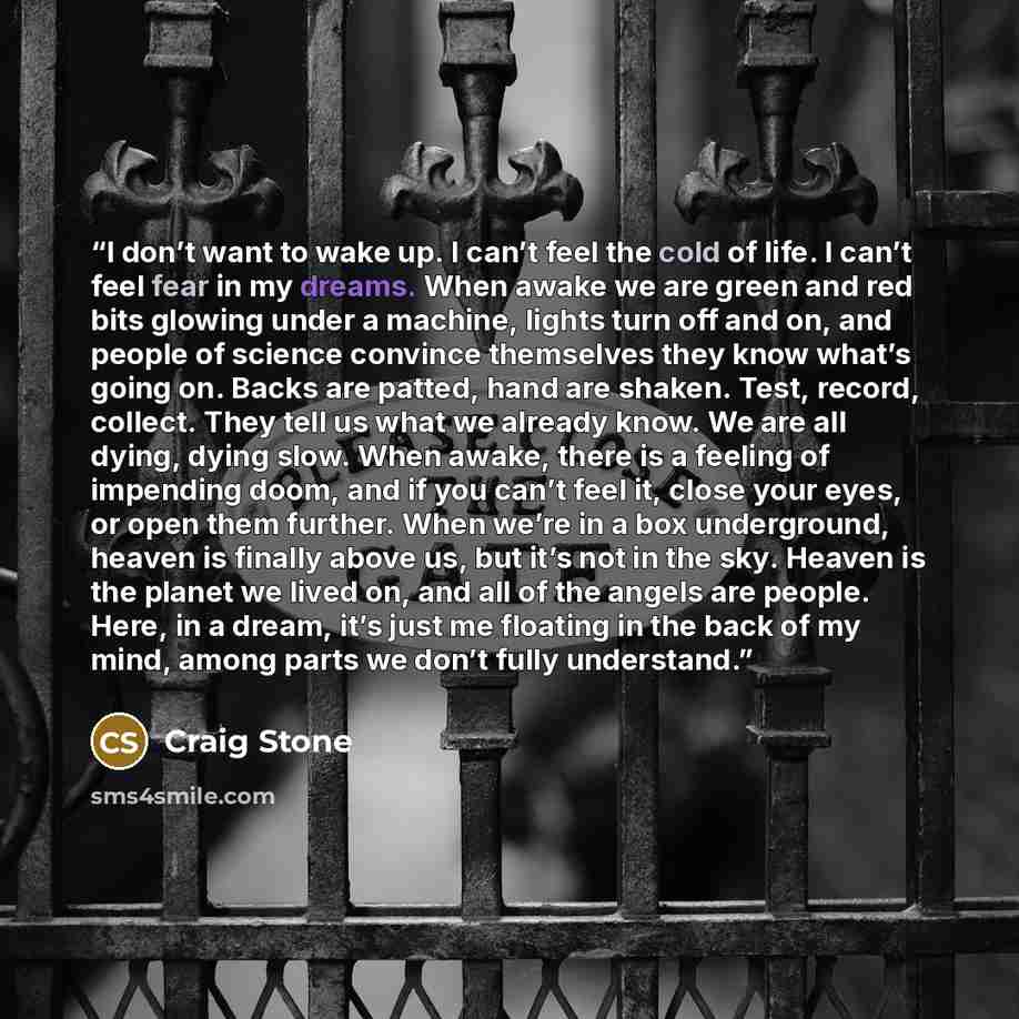 “I don’t want to wake up. I can’t feel the cold of life. I can’t feel fear in my dreams. When awake we are green and red bits glowing under a machine, lights turn off and on, and people of science convince themselves they know what’s going on. Backs are patted, hand are shaken. Test, record…” quote by Craig Stone