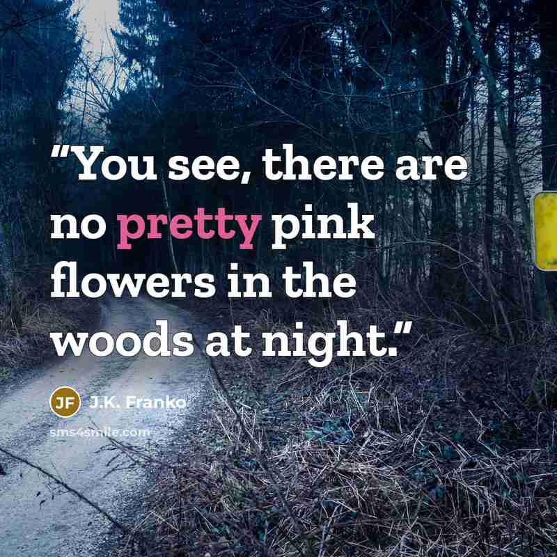 “You see, there are no pretty pink flowers in the woods at night.” quote by J.K. Franko
