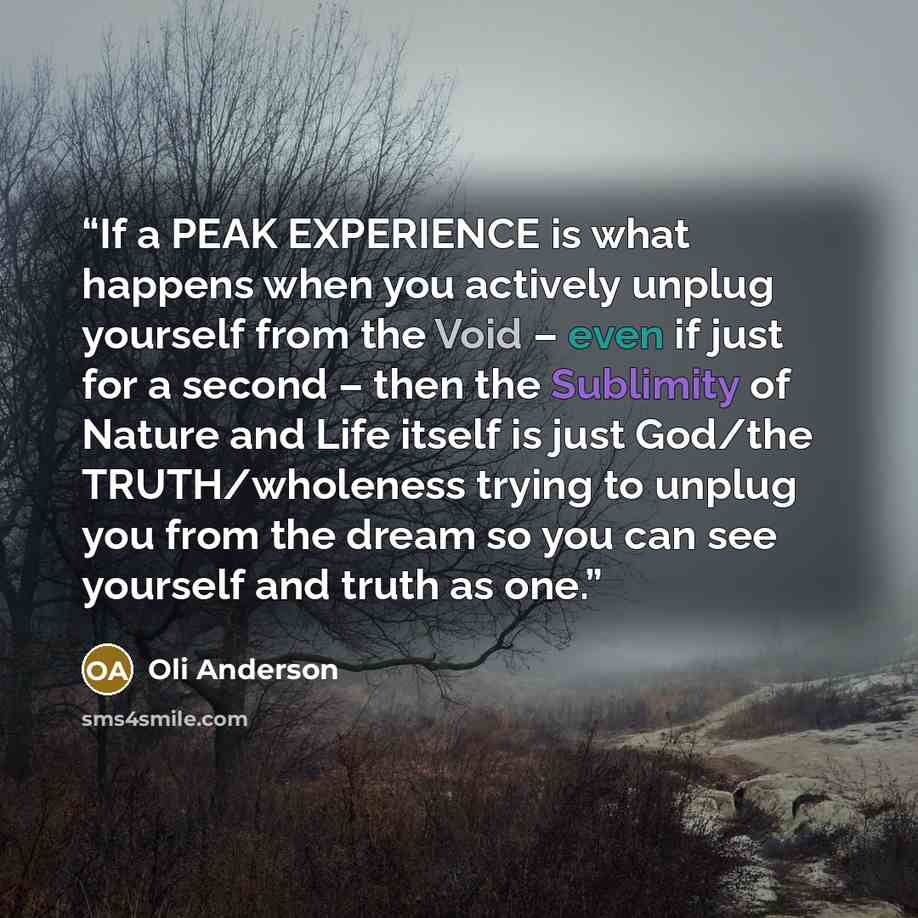 “If a PEAK EXPERIENCE is what happens when you actively unplug yourself from the Void – even if just for a second – then the Sublimity of Nature and Life itself is just God/the TRUTH/wholeness trying to unplug you from the dream so you can see yourself and truth as one.” quote by Oli Anderson