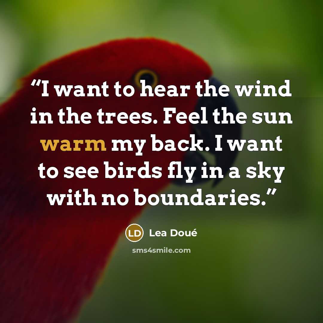 “I want to hear the wind in the trees. Feel the sun warm my back. I want to see birds fly in a sky with no boundaries.” quote by Lea Doué