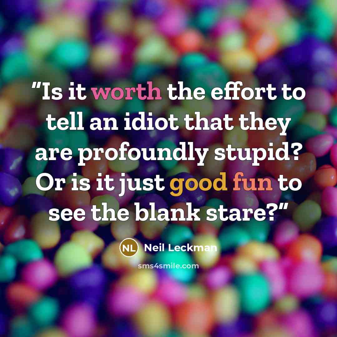 “Is it worth the effort to tell an idiot that they are profoundly stupid? Or is it just good fun to see the blank stare?” quote by Neil Leckman