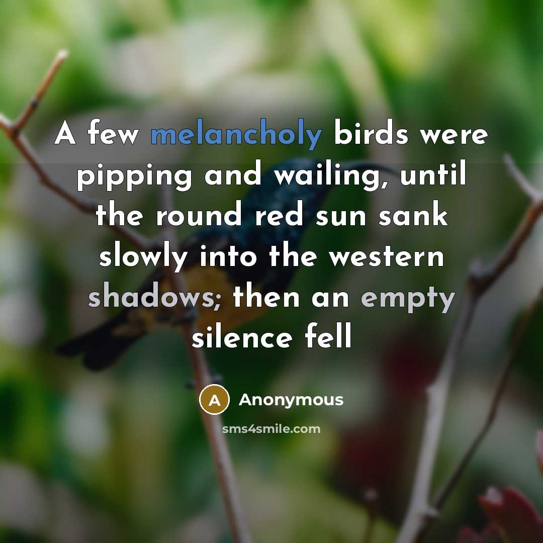 “A few melancholy birds were pipping and wailing, until the round red sun sank slowly into the western shadows; then an empty silence fell” quote by Anonymous