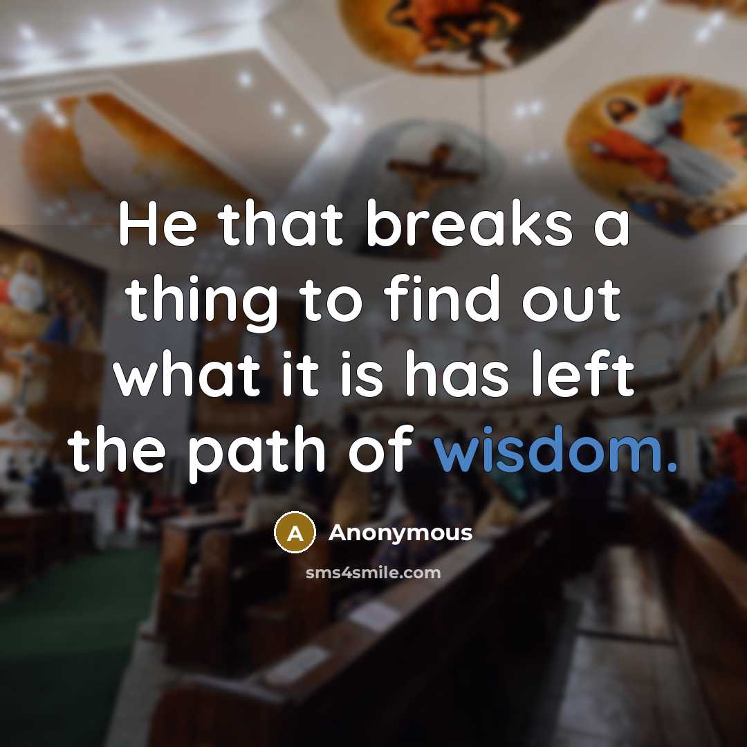 “He that breaks a thing to find out what it is has left the path of wisdom.” quote by Anonymous