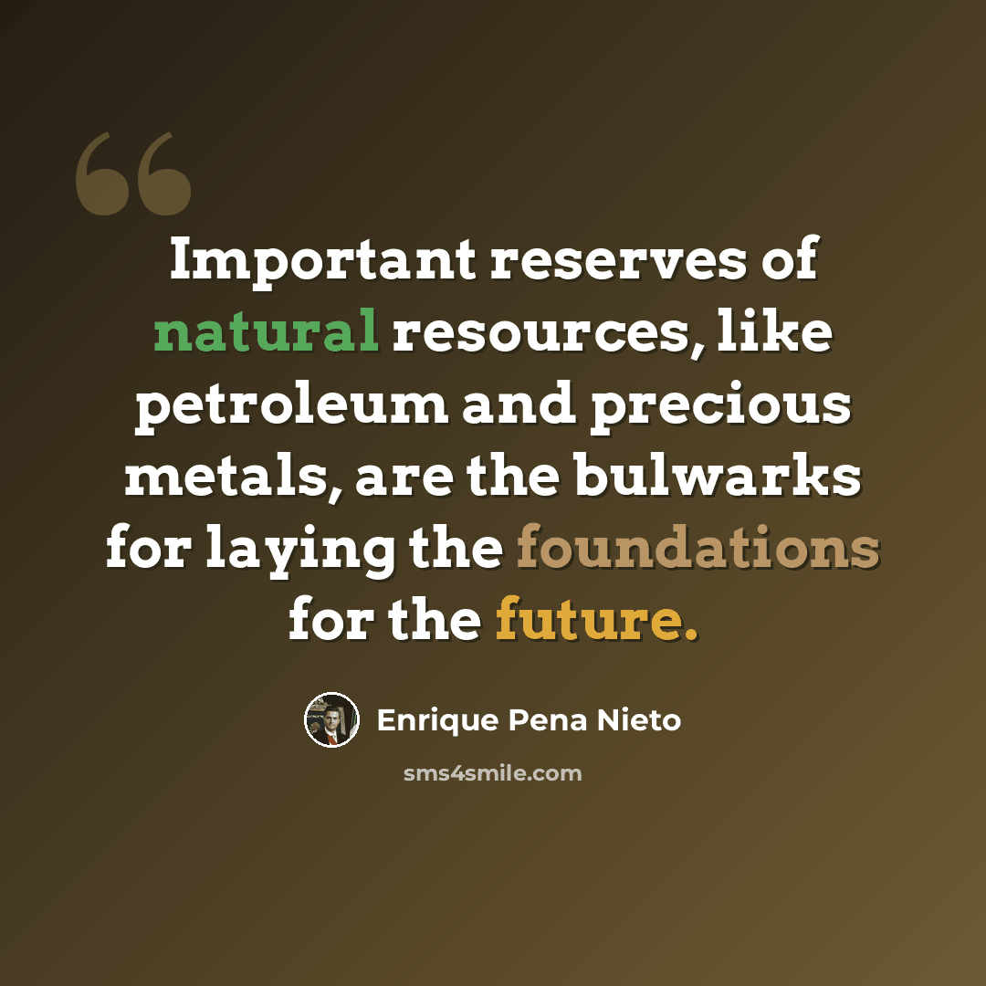 “Important reserves of natural resources, like petroleum and precious metals, are the bulwarks for laying the foundations for the future.” quote by Enrique Pena Nieto