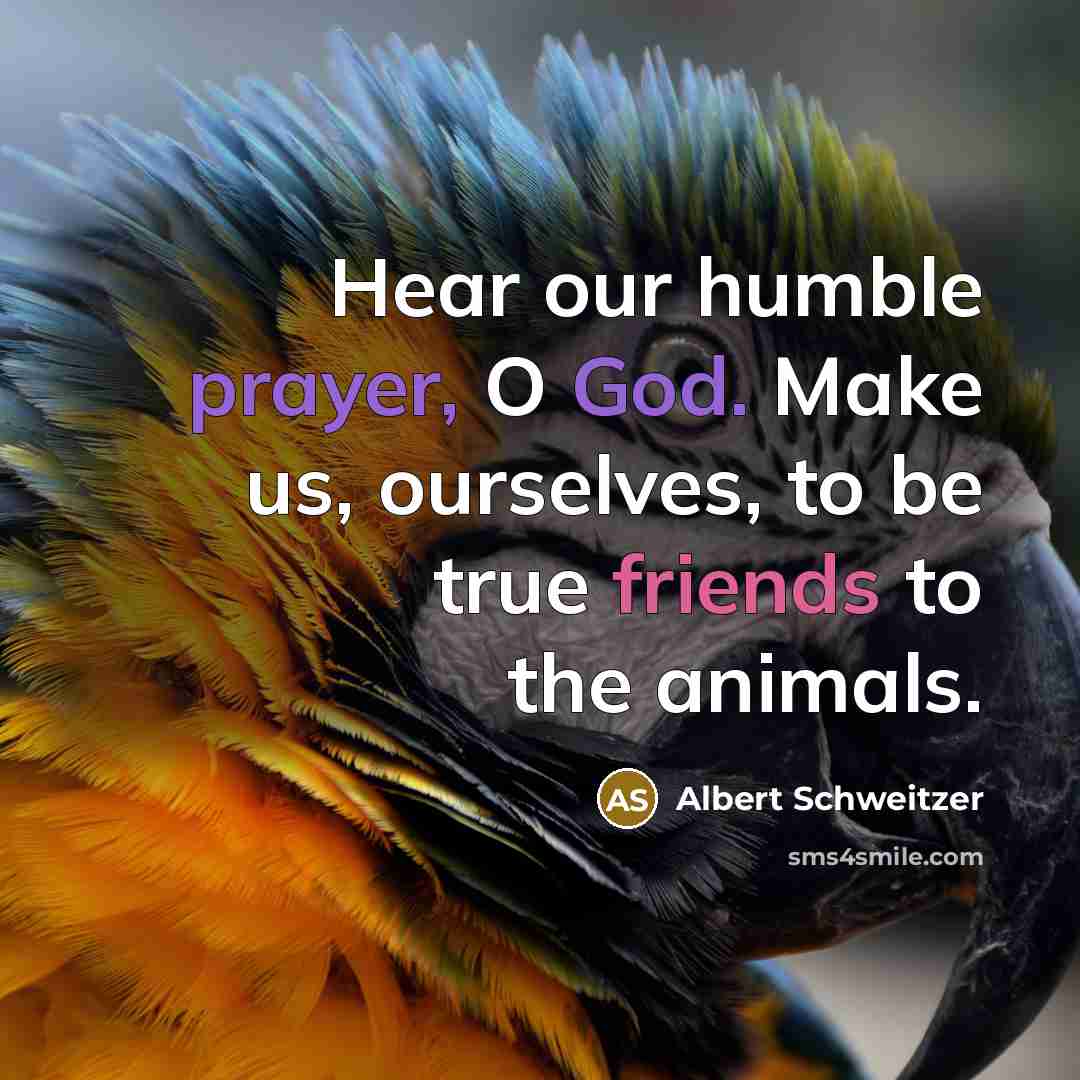“Hear our humble prayer, O God. Make us, ourselves, to be true friends to the animals.” quote by Albert Schweitzer
