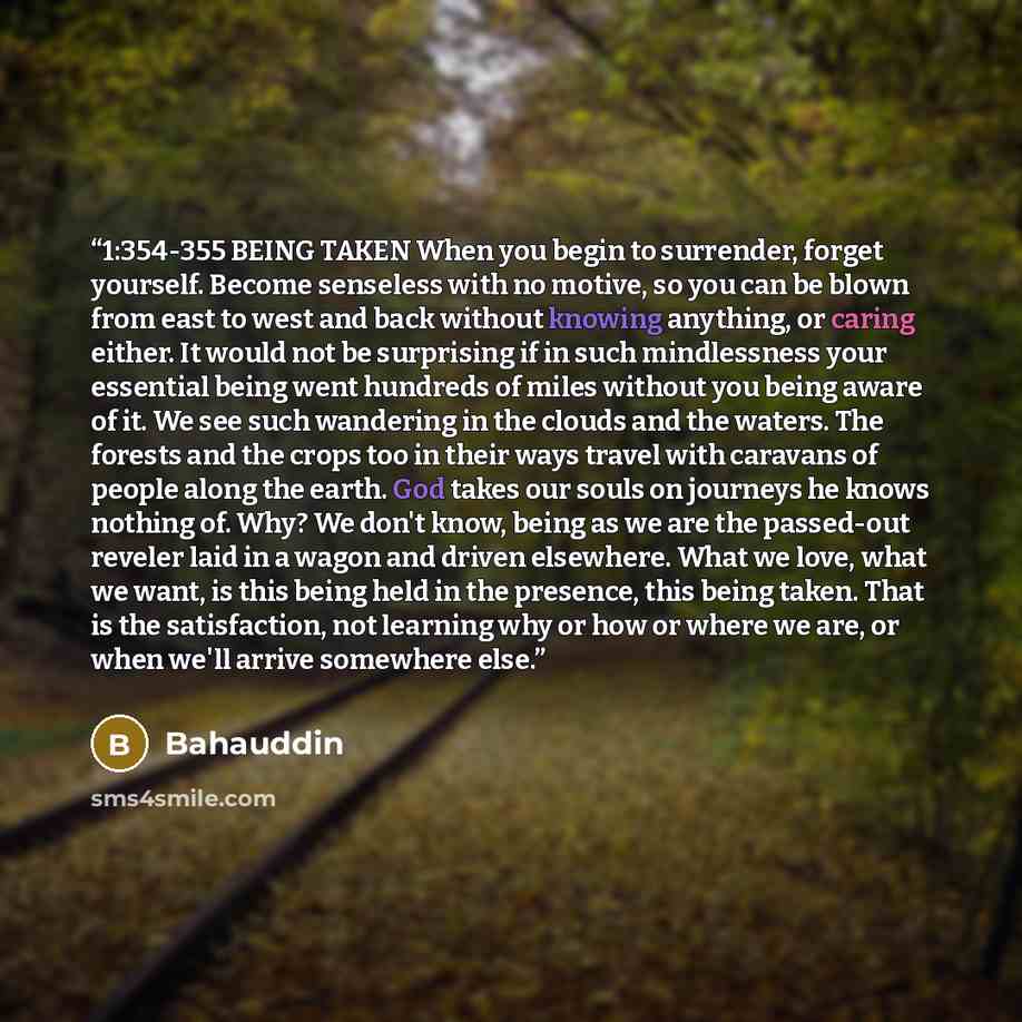 “1:354-355 BEING TAKEN When you begin to surrender, forget yourself. Become senseless with no motive, so you can be blown from east to west and back without knowing anything, or caring either. It would not be surprising if in such mindlessness your essential being went hundreds of miles without you…” quote by Bahauddin