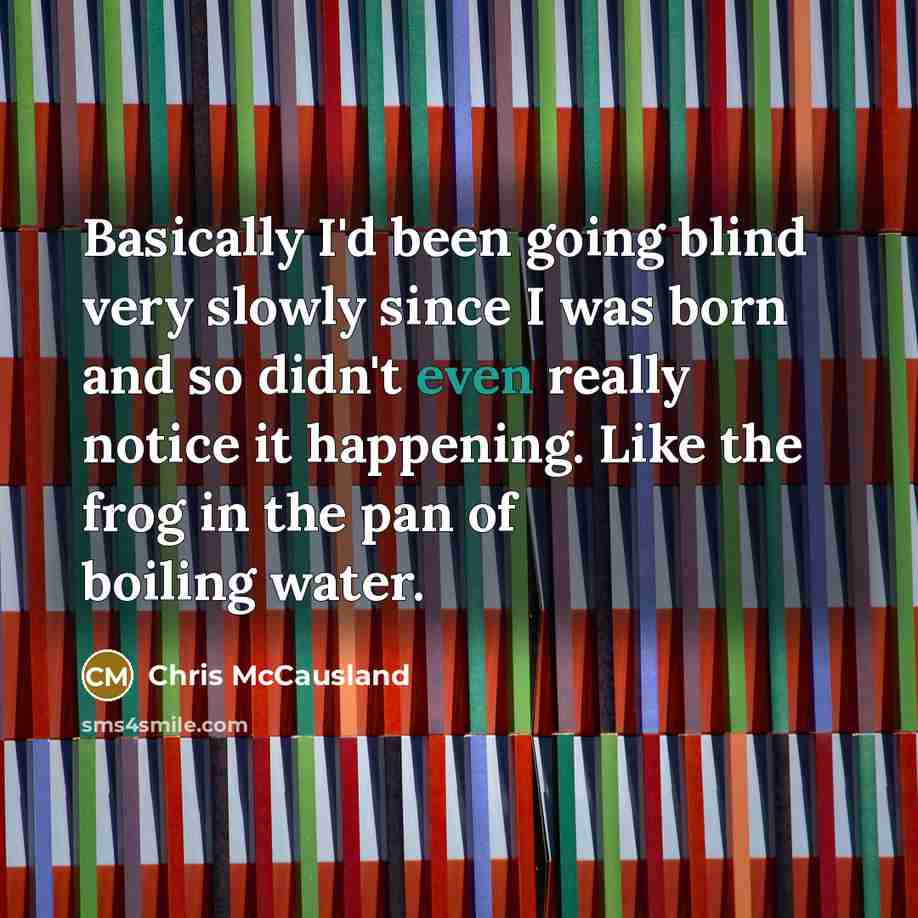 “Basically I'd been going blind very slowly since I was born and so didn't even really notice it happening. Like the frog in the pan of boiling water.” quote by Chris McCausland