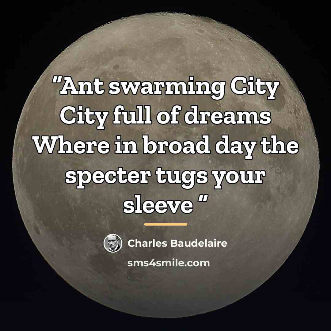“Ant swarming City City full of dreams Where in broad day the specter tugs your sleeve” quote by Charles Baudelaire