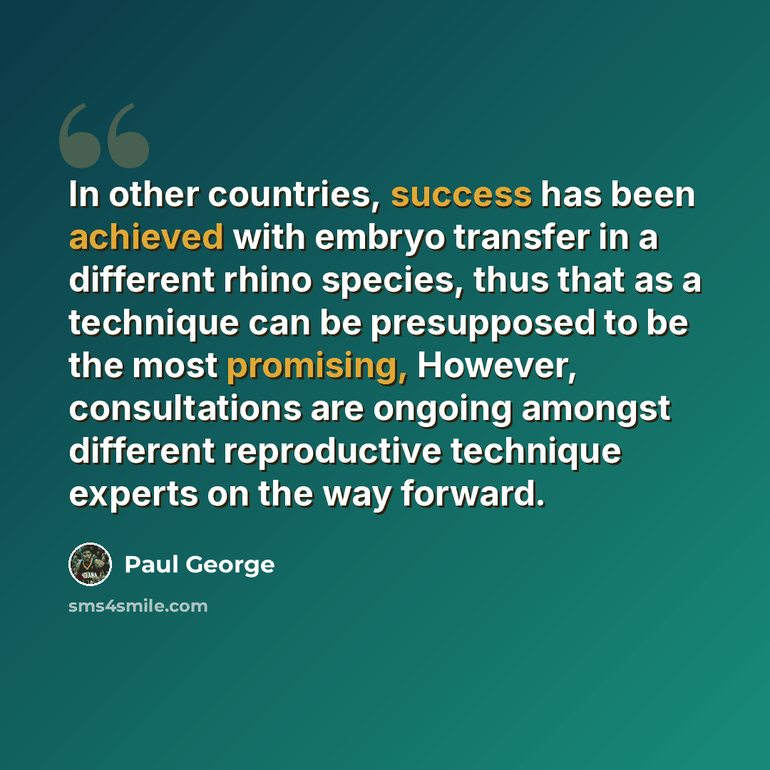 “In other countries, success has been achieved with embryo transfer in a different rhino species, thus that as a technique can be presupposed to be the most promising, However, consultations are ongoing amongst different reproductive technique experts on the way forward.” quote by Paul George