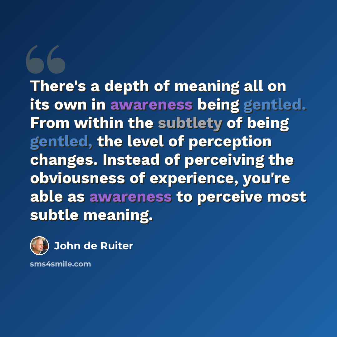 “There's a depth of meaning all on its own in awareness being gentled. From within the subtlety of being gentled, the level of perception changes. Instead of perceiving the obviousness of experience, you're able as awareness to perceive most subtle meaning.” quote by John de Ruiter