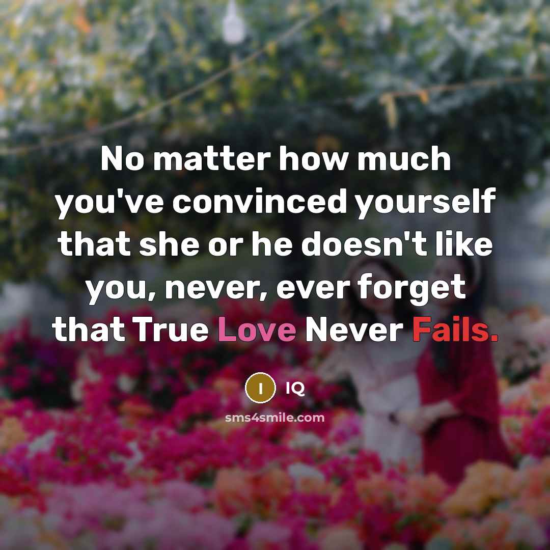 “No matter how much you've convinced yourself that she or he doesn't like you, never, ever forget that True Love Never Fails.” quote by IQ