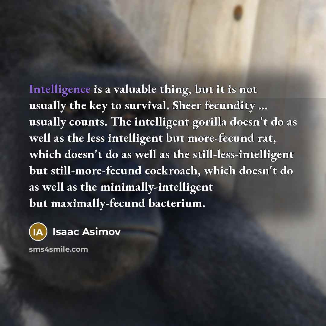 “Intelligence is a valuable thing, but it is not usually the key to survival. Sheer fecundity ... usually counts. The intelligent gorilla doesn't do as well as the less intelligent but more-fecund rat, which doesn't do as well as the still-less-intelligent but still-more-fecund cockroach, which…” quote by Isaac Asimov