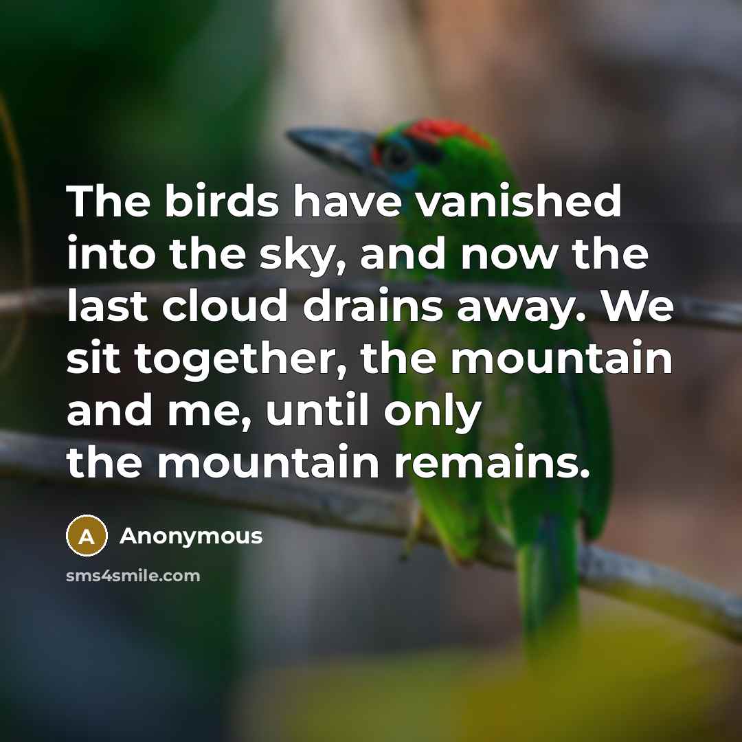 “The birds have vanished into the sky, and now the last cloud drains away. We sit together, the mountain and me, until only the mountain remains.” quote by Anonymous