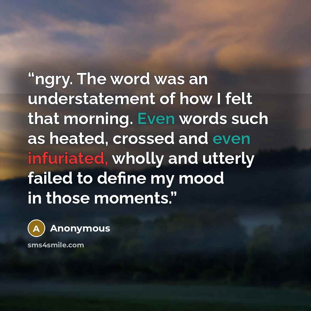 “ngry. The word was an understatement of how I felt that morning. Even words such as heated, crossed and even infuriated, wholly and utterly failed to define my mood in those moments.” quote by Anonymous
