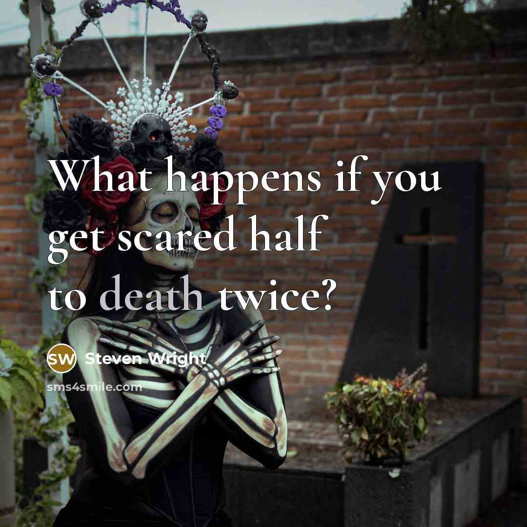 “What happens if you get scared half to death twice?” quote by Steven Wright