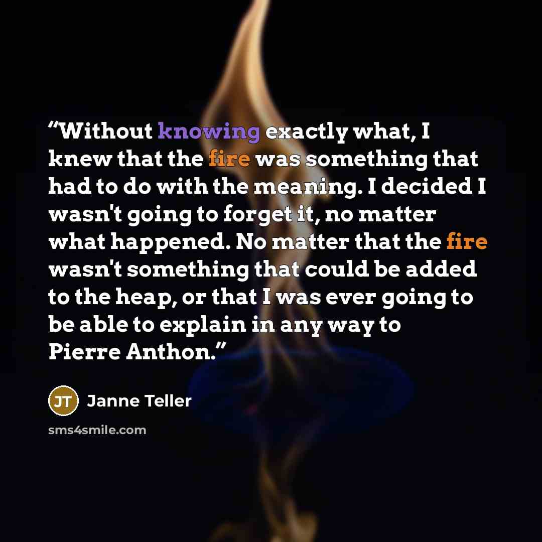 “Without knowing exactly what, I knew that the fire was something that had to do with the meaning. I decided I wasn't going to forget it, no matter what happened. No matter that the fire wasn't something that could be added to the heap, or that I was ever going to be able to explain in any way to…” quote by Janne Teller