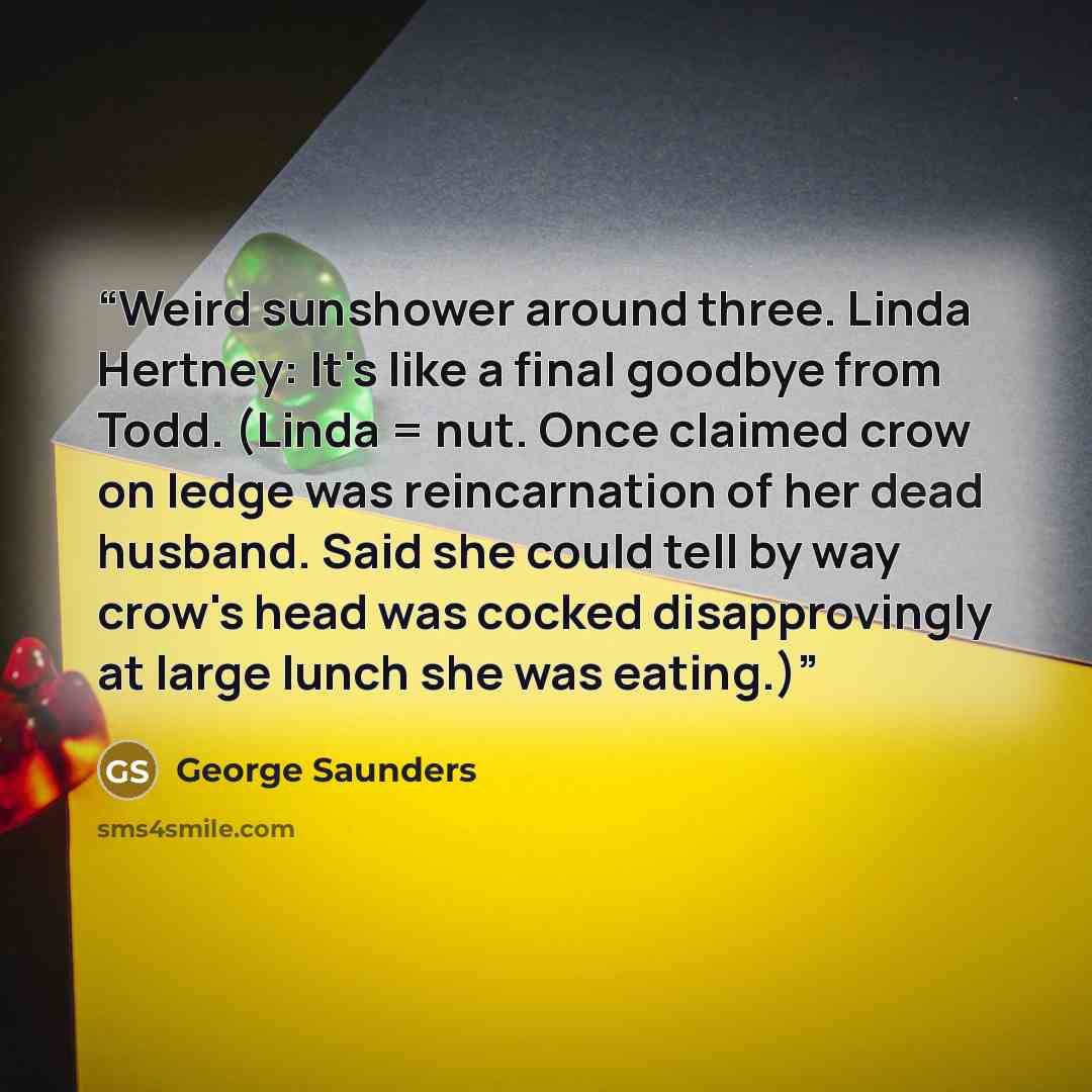 “Weird sunshower around three. Linda Hertney: It's like a final goodbye from Todd. (Linda = nut. Once claimed crow on ledge was reincarnation of her dead husband. Said she could tell by way crow's head was cocked disapprovingly at large lunch she was eating.)” quote by George Saunders