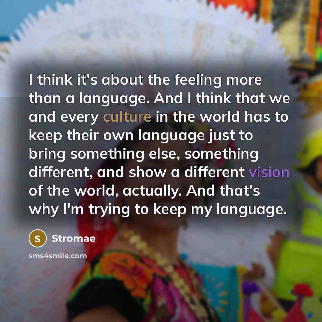 “I think it's about the feeling more than a language. And I think that we and every culture in the world has to keep their own language just to bring something else, something different, and show a different vision of the world, actually. And that's why I'm trying to keep my language.” quote by Stromae