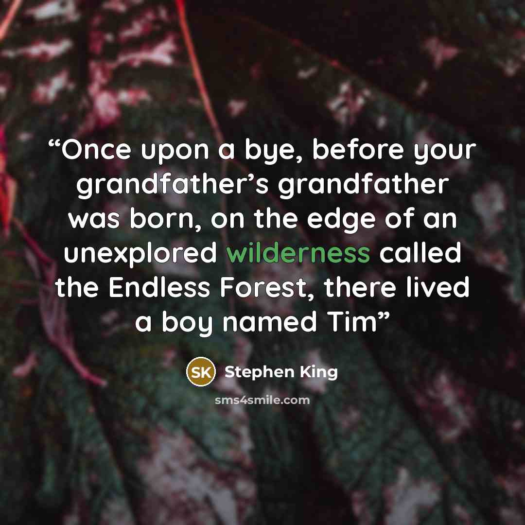 “Once upon a bye, before your grandfather’s grandfather was born, on the edge of an unexplored wilderness called the Endless Forest, there lived a boy named Tim” quote by Stephen King