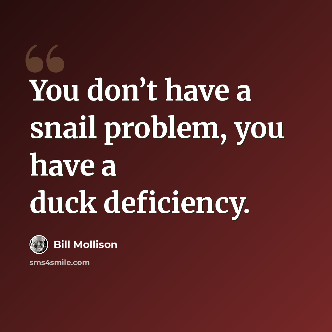 “You don’t have a snail problem, you have a duck deficiency.” quote by Bill Mollison
