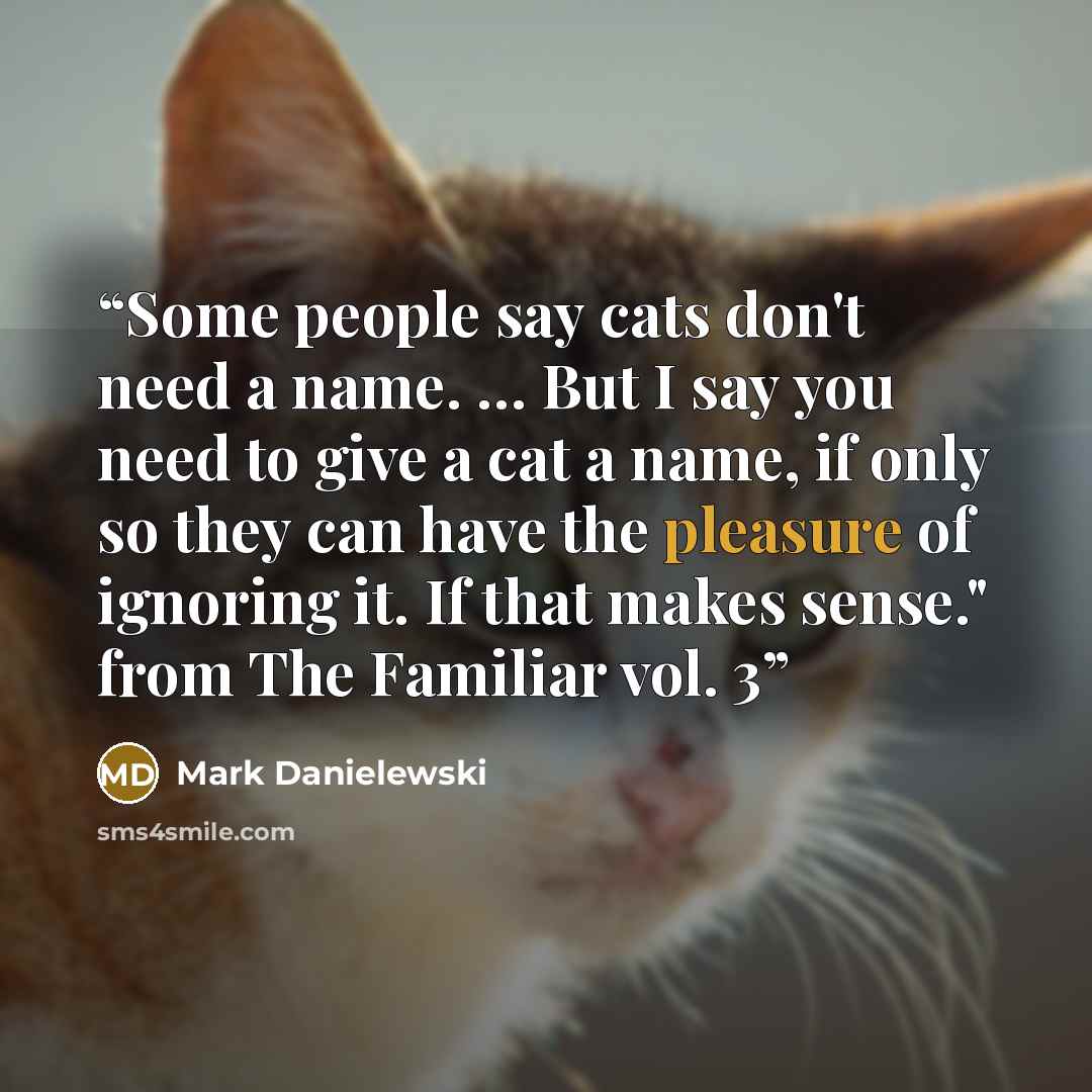 “Some people say cats don't need a name. … But I say you need to give a cat a name, if only so they can have the pleasure of ignoring it. If that makes sense." from The Familiar vol. 3” quote by Mark Danielewski