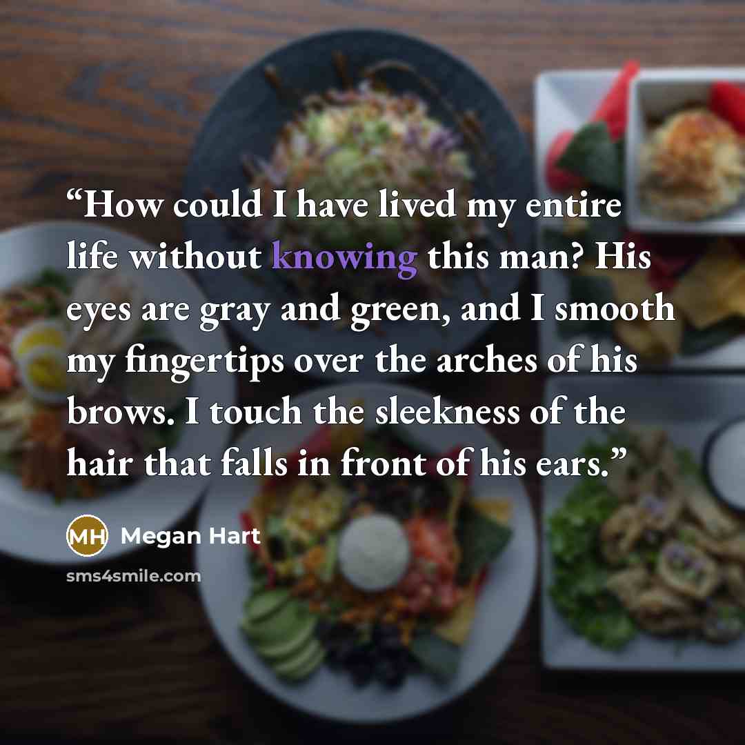 “How could I have lived my entire life without knowing this man? His eyes are gray and green, and I smooth my fingertips over the arches of his brows. I touch the sleekness of the hair that falls in front of his ears.” quote by Megan Hart