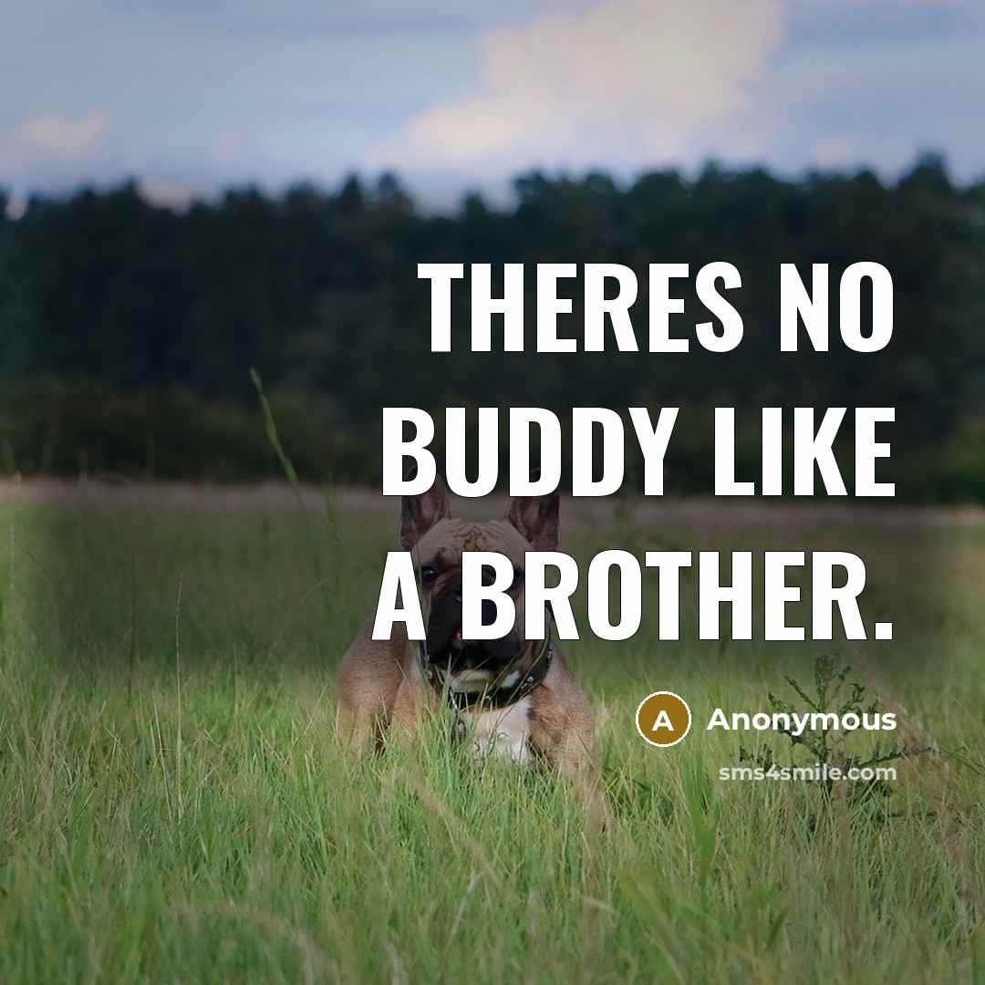 “Theres no buddy like a brother.” quote by Anonymous