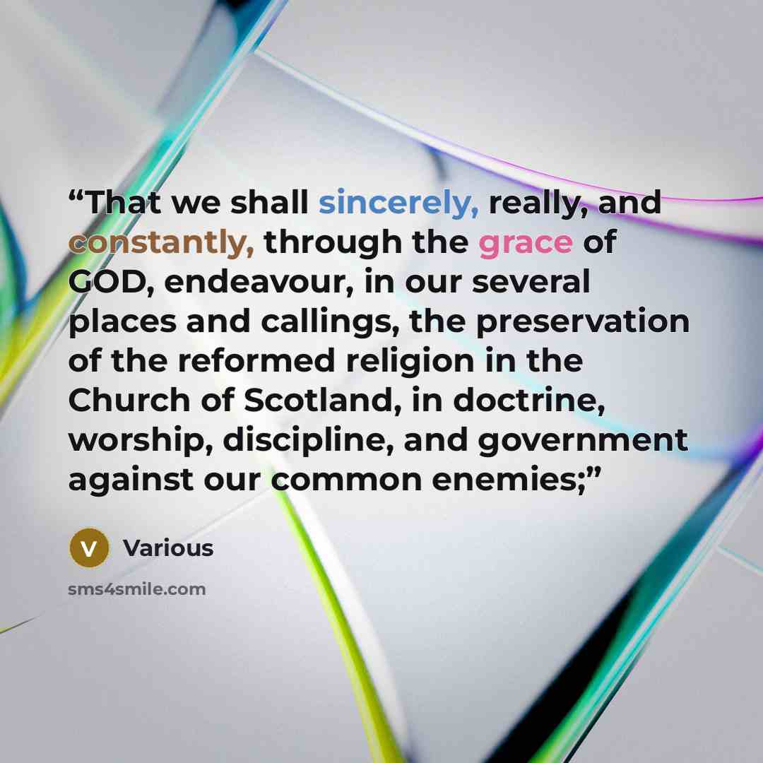 “That we shall sincerely, really, and constantly, through the grace of GOD, endeavour, in our several places and callings, the preservation of the reformed religion in the Church of Scotland, in doctrine, worship, discipline, and government against our common enemies;” quote by Various