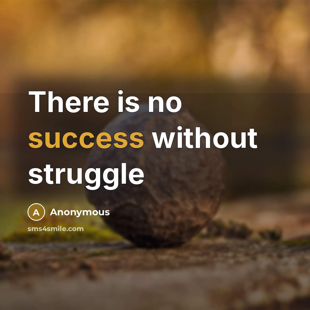 “There is no success without struggle” quote by Anonymous