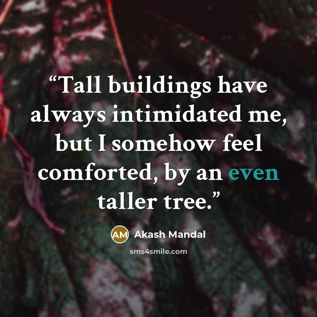 “Tall buildings have always intimidated me, but I somehow feel comforted, by an even taller tree.” quote by Akash Mandal