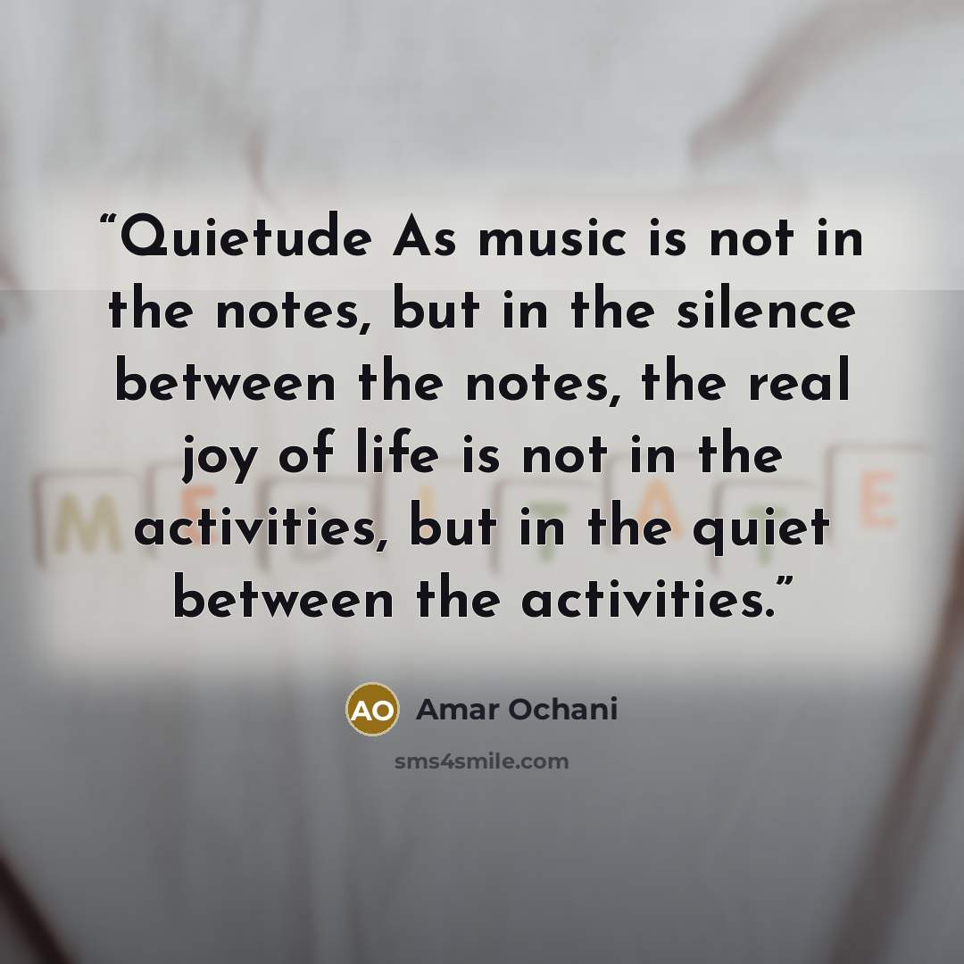 “Quietude As music is not in the notes, but in the silence between the notes, the real joy of life is not in the activities, but in the quiet between the activities.” quote by Amar Ochani