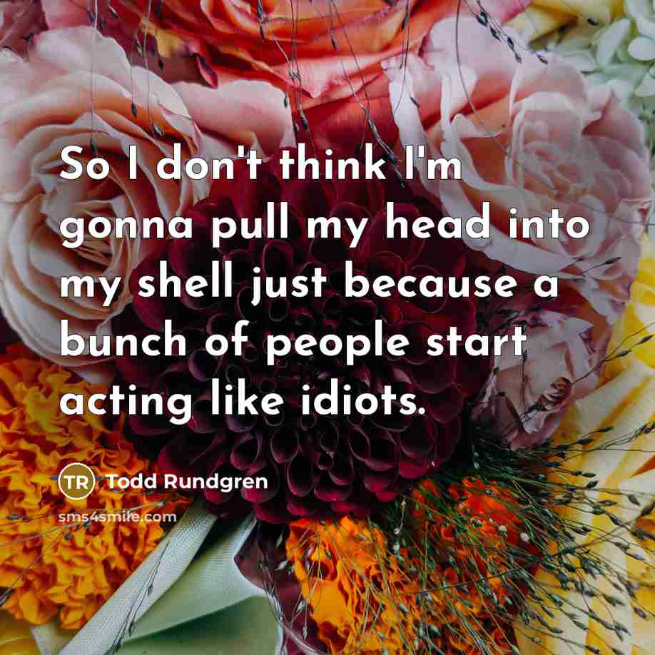 “So I don't think I'm gonna pull my head into my shell just because a bunch of people start acting like idiots.” quote by Todd Rundgren